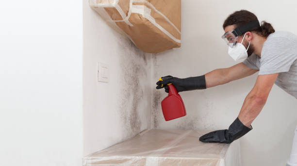 Professional Crawl Space Mold Remediation technician working in Bath, MI